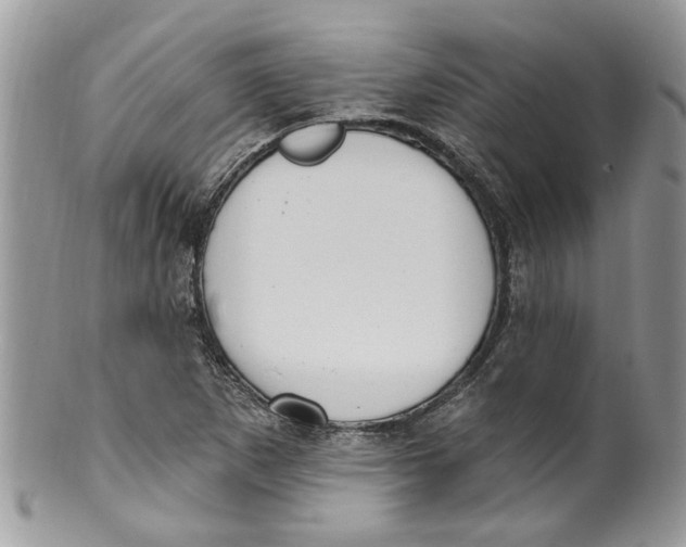 X0000099971265200806131524