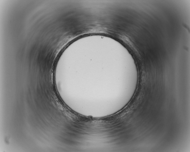 X0000099971268200806131524