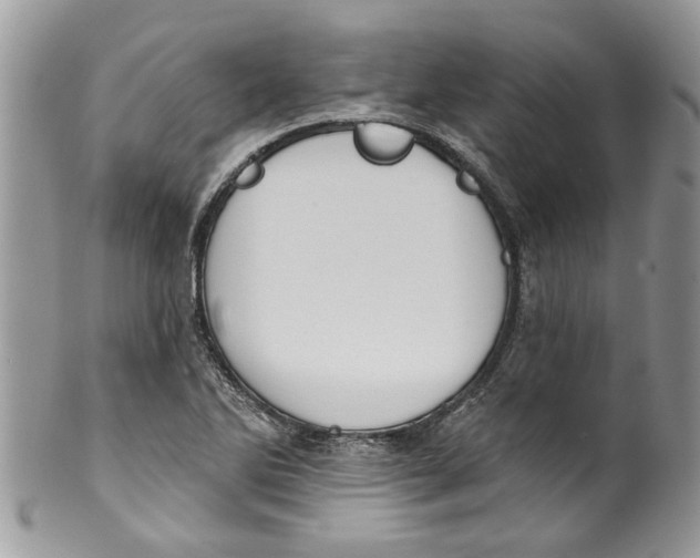 X0000099971270200806131524