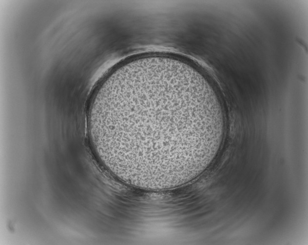 X0000099971271200806131524