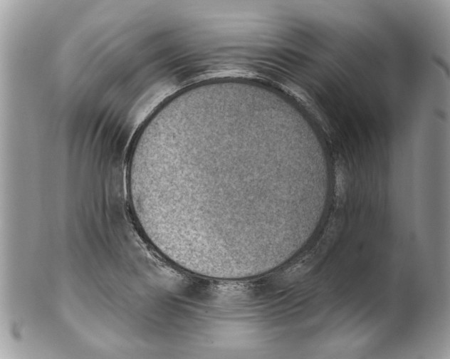 X0000099971274200806131524