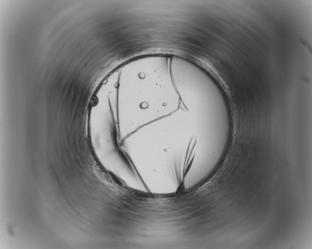 X0000099971276200806131524