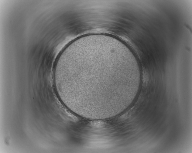 X0000099971278200806131524