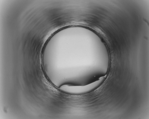 X0000099971280200806131524