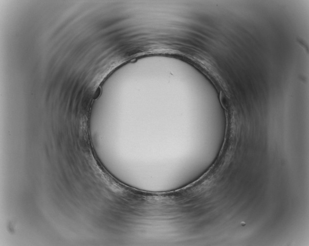 X0000099971281200806131524