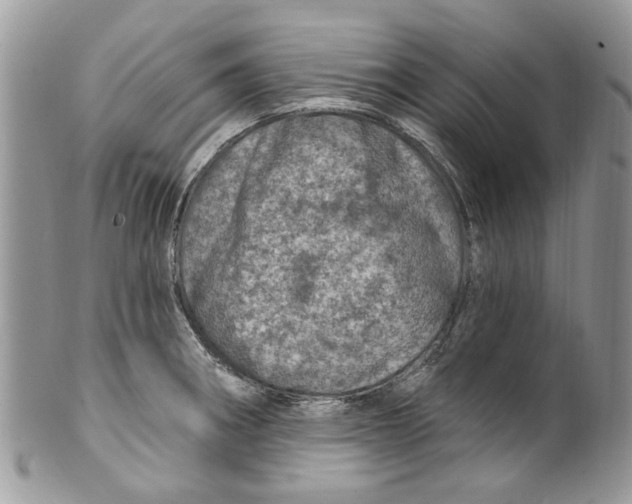 X0000099971282200806131524