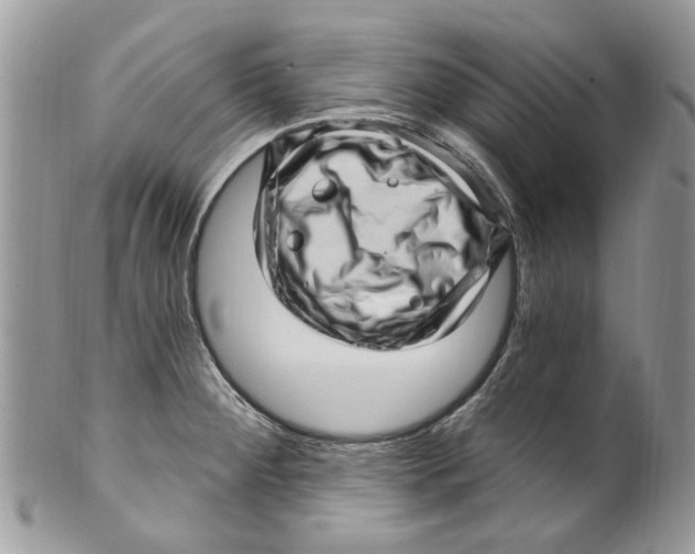 X0000099971284200806131524