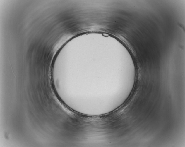 X0000099971285200806131524