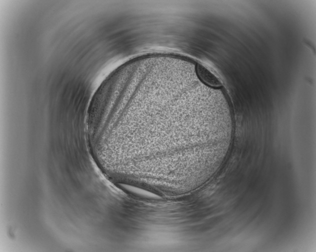 X0000099971287200806131524