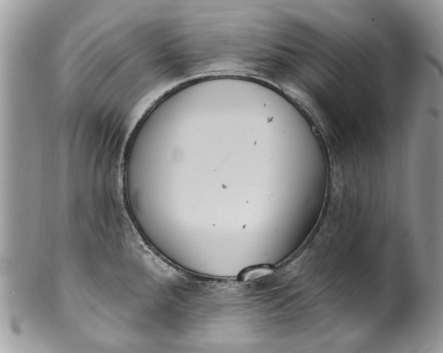 X0000099971288200806131524