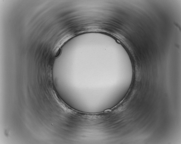 X0000099971289200806131524