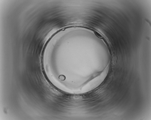 X0000099971291200806131524