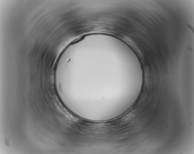 X0000099971292200806131524