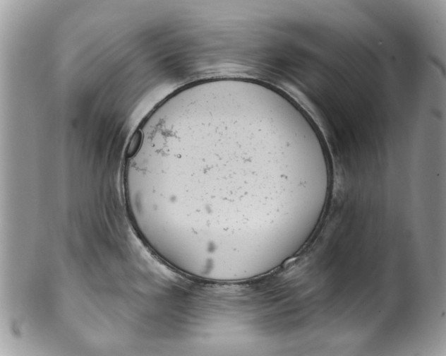 X0000099971293200806131524