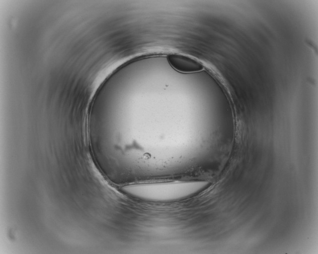 X0000099971295200806131524