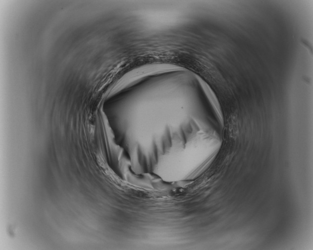 X0000099971298200806131523