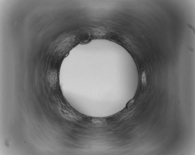 X0000099971299200806131523