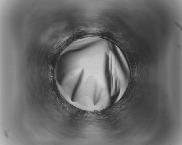 X0000099971301200806131523