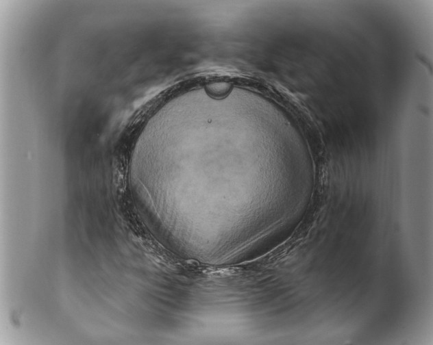 X0000099971303200806131523