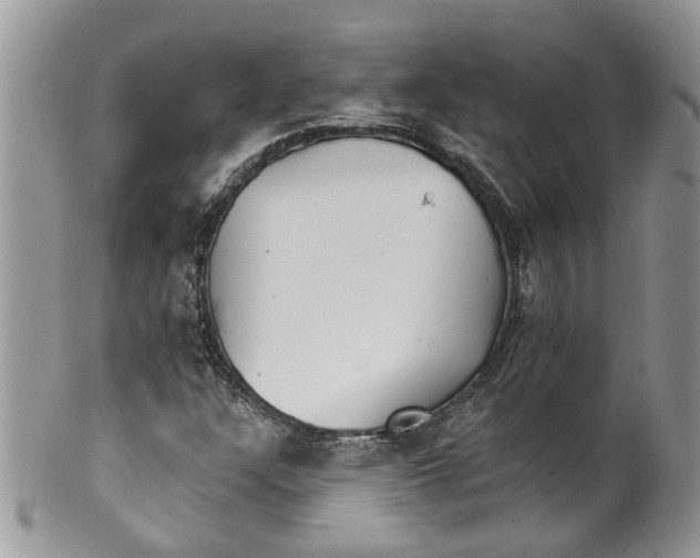 X0000099971304200806131523