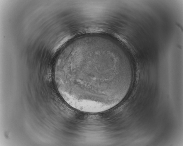 X0000099971306200806131523