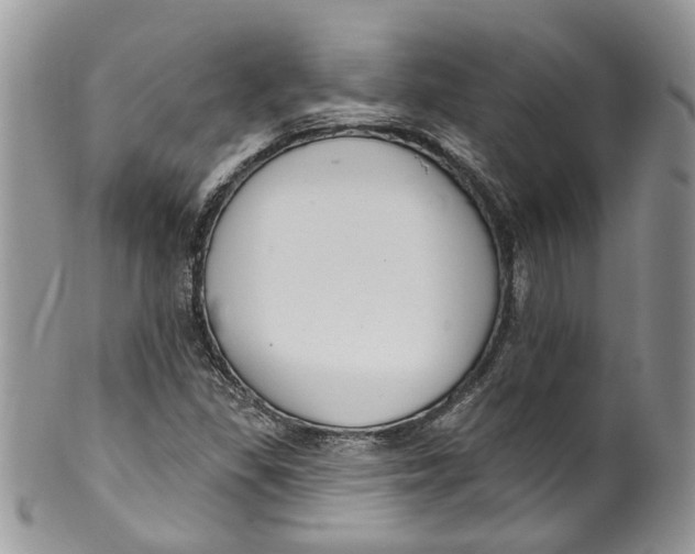 X0000099971309200806131523