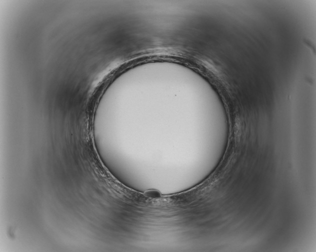 X0000099971310200806131523