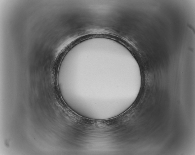 X0000099971311200806131523