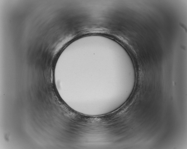 X0000099971317200806131523