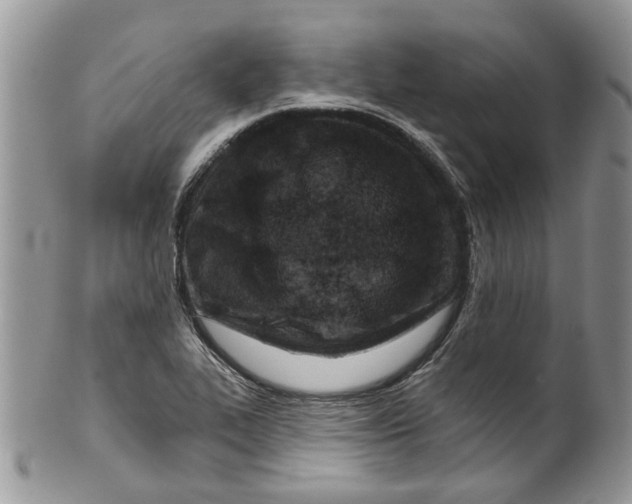 X0000099971319200806131523