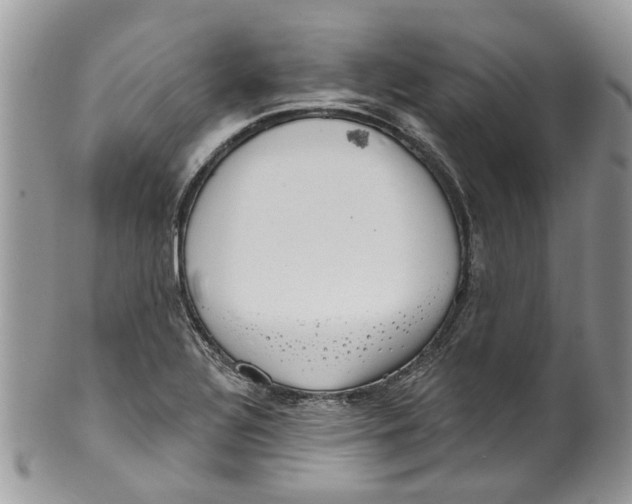 X0000099971320200806131523