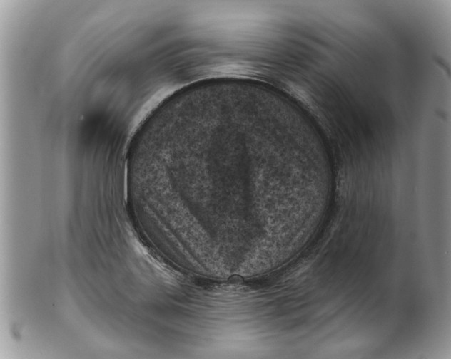 X0000099971323200806131523