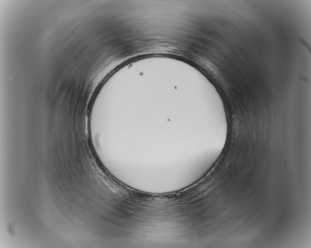 X0000099971324200806131523