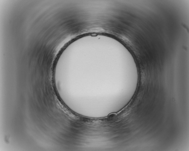 X0000099971326200806131523