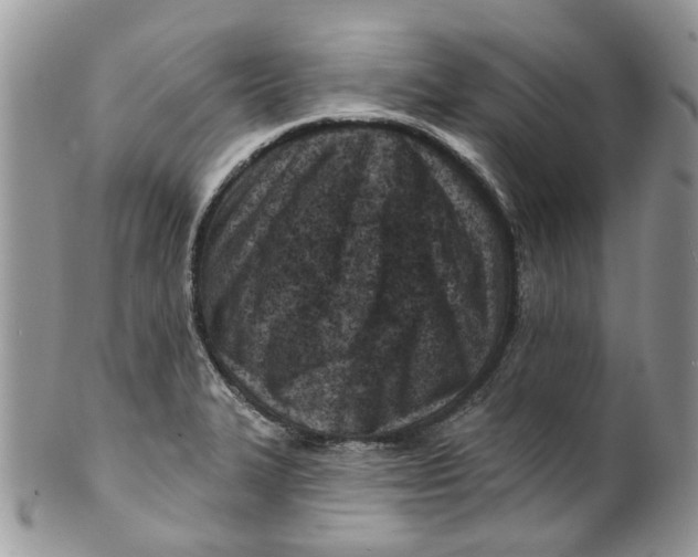 X0000099971327200806131523