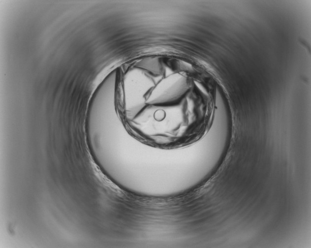 X0000099971330200806131524