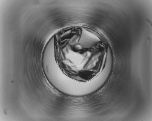 X0000099971332200806131524