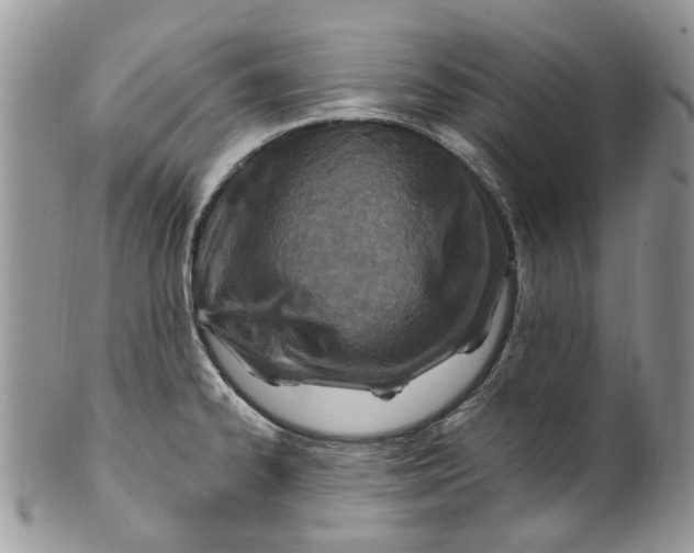 X0000099971334200806131524