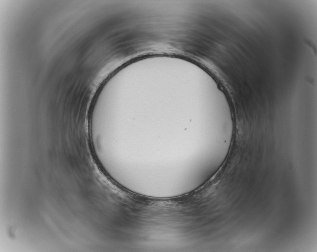 X0000099971335200806131524