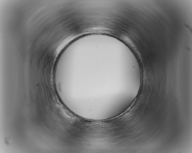 X0000099971336200806131524