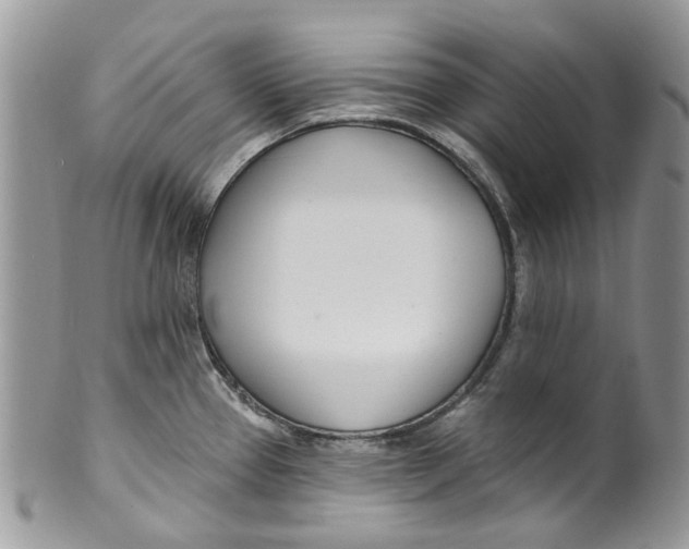 X0000099971337200806131524