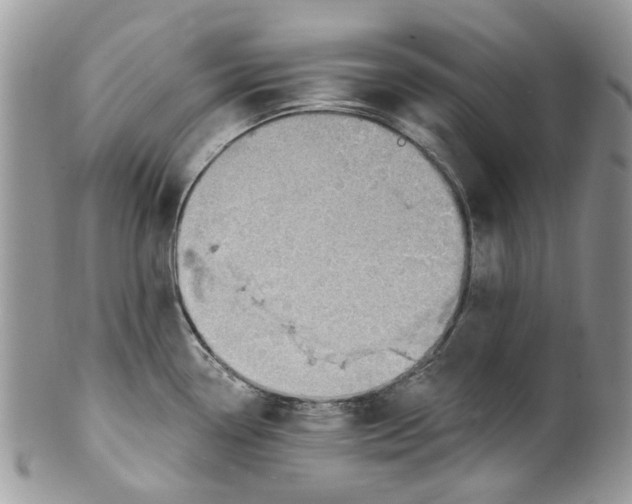 X0000099971338200806131524