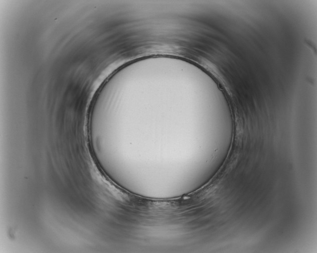 X0000099971339200806131524