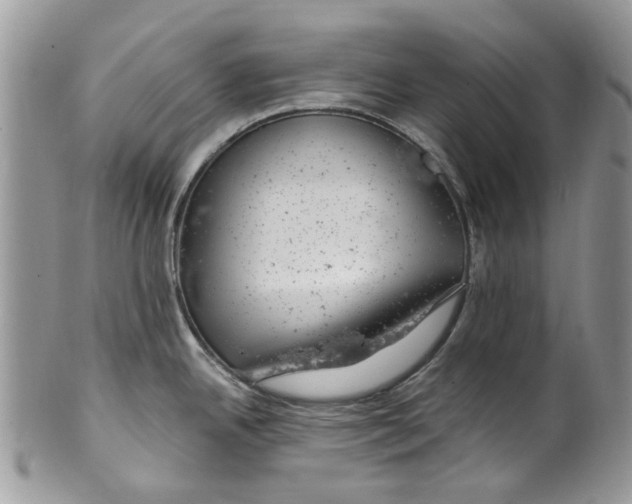 X0000099971342200806131524