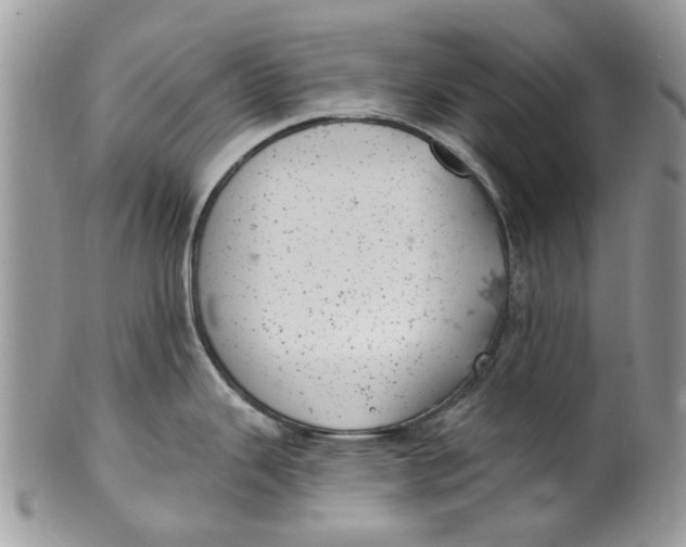 X0000099971343200806131524