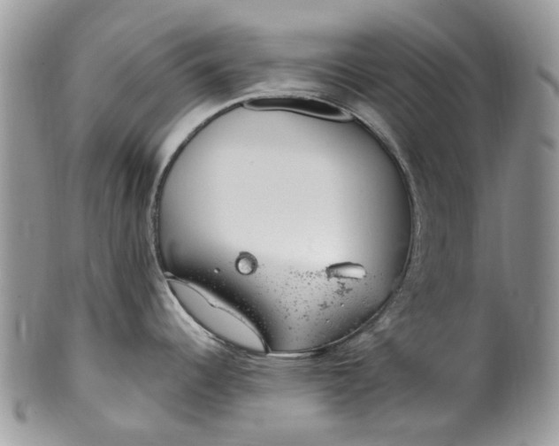 X0000099971344200806131524