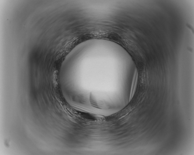 X0000099971346200806131523