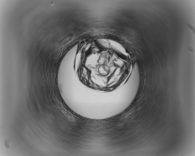 X0000099971348200806131523