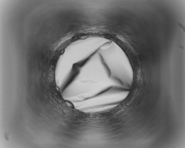 X0000099971350200806131523