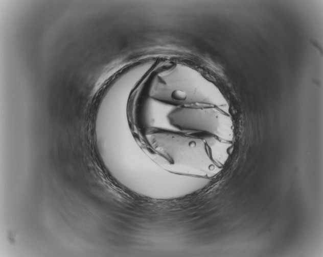 X0000099971352200806131523